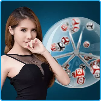 24Dspin